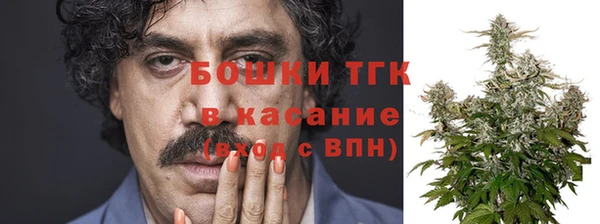 сатива Дмитров