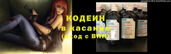 apvp Дмитровск