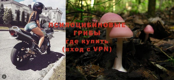 ешки Дмитриев