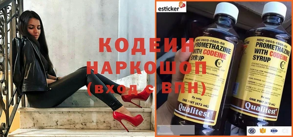 ешки Дмитриев