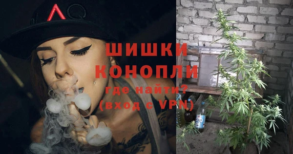 ешки Дмитриев