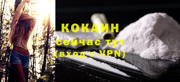 ешки Дмитриев